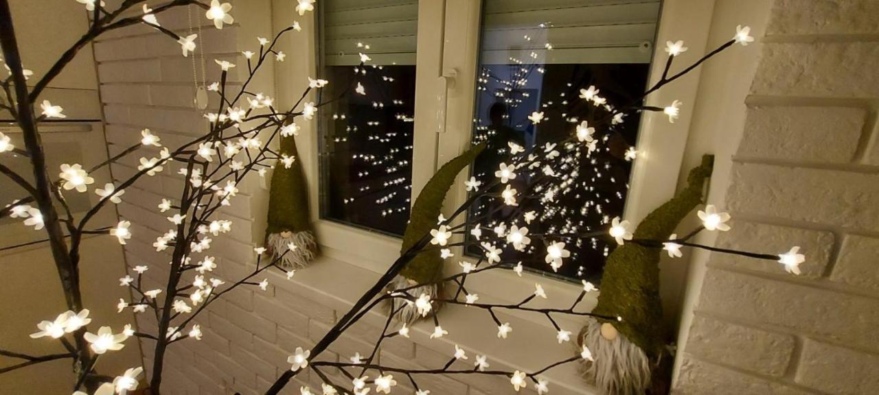 Apartment Ana, Vracar, Beograd Ngoại thất bức ảnh